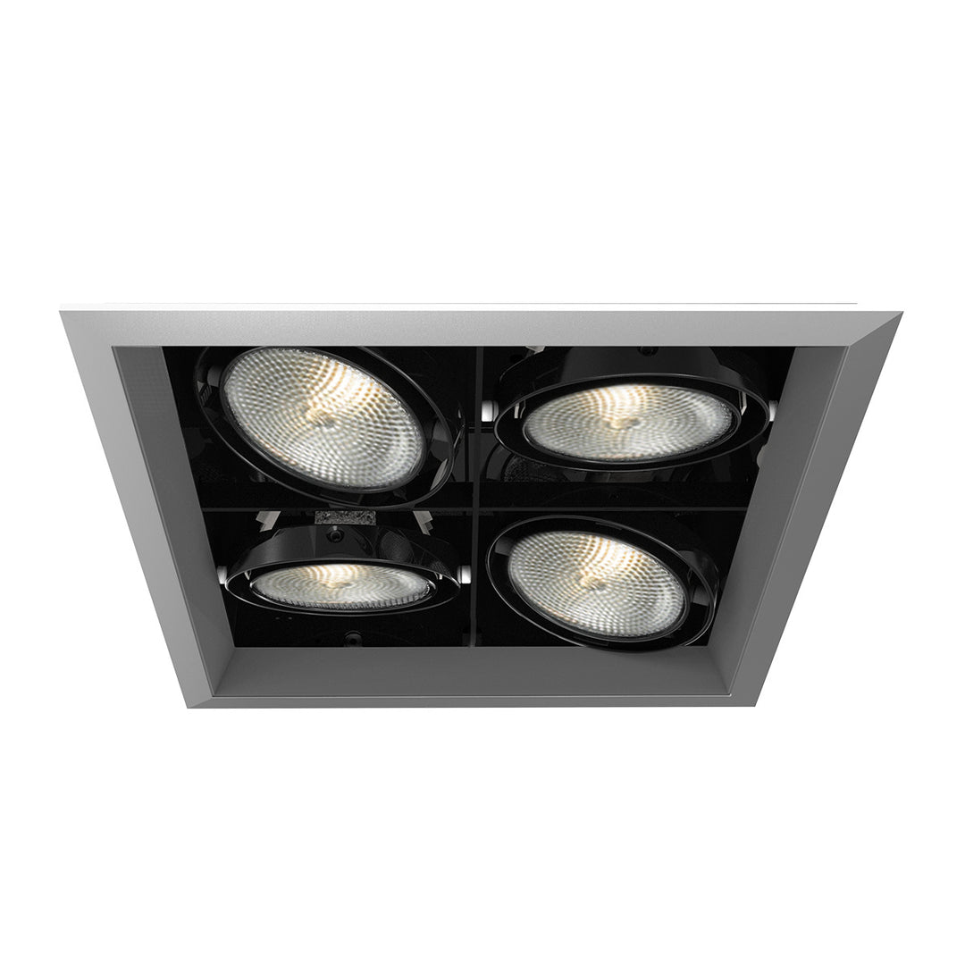 Eurofase Canada - TE134B-0N - MULT,PAR30,TRM,4LT,SQ,PT/BLK - PAR30MULTI-GEN - Platinum