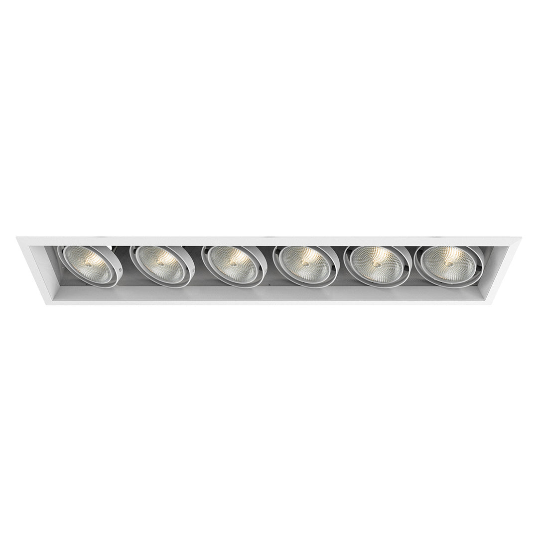 Eurofase Canada - TE136A-22 - MULT,PAR30,TRM,6LT,75W,WT/WT - PAR30MULTI-GEN - White