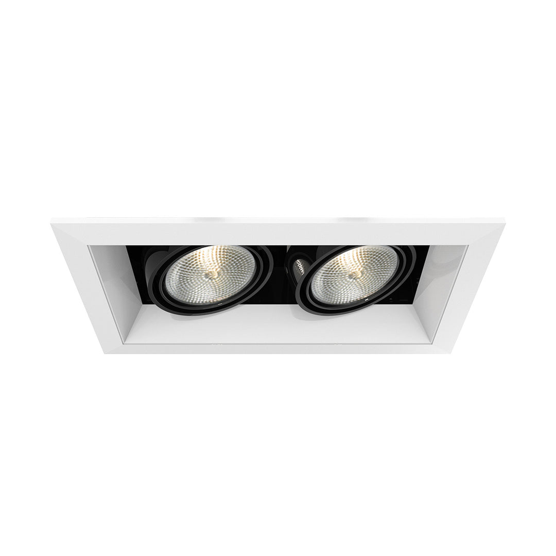 Eurofase Canada - TE162-02 - MULT,PAR20,TRM,2LT,50W,WH/BLK - PAR20MULTI-GEN - White