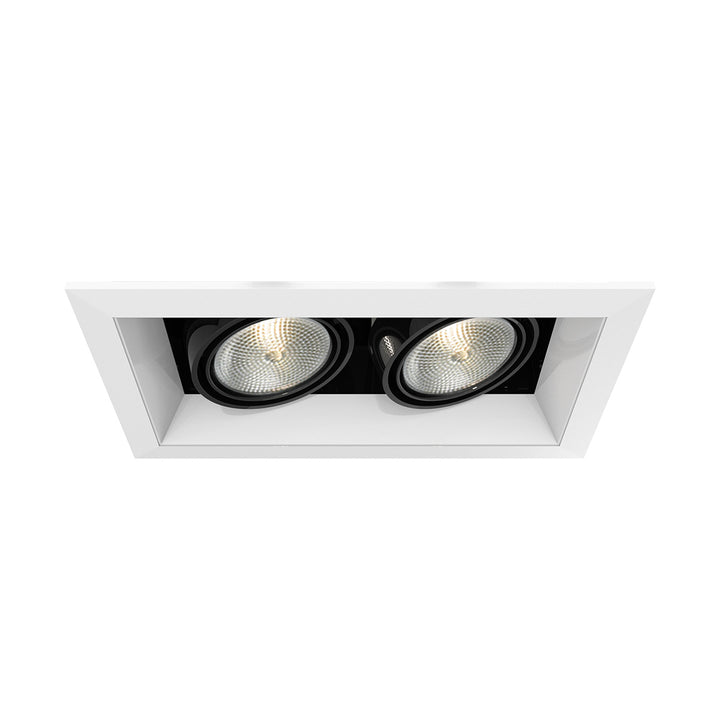 Eurofase Canada - TE162-02 - MULT,PAR20,TRM,2LT,50W,WH/BLK - PAR20MULTI-GEN - White