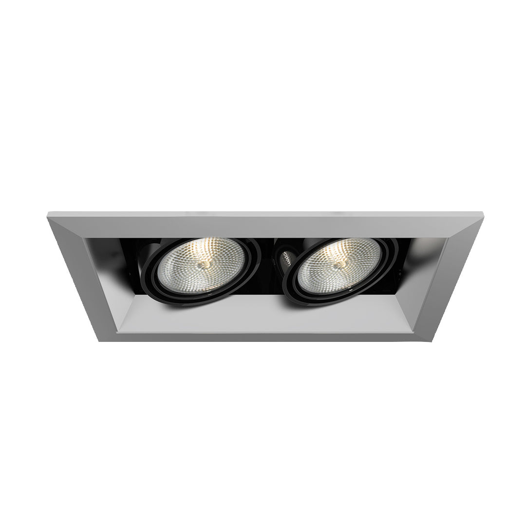 Eurofase Canada - TE162-0N - MULT,PAR20,TRM,2LT,50W,PT/BLK - PAR20MULTI-GEN - Platinum