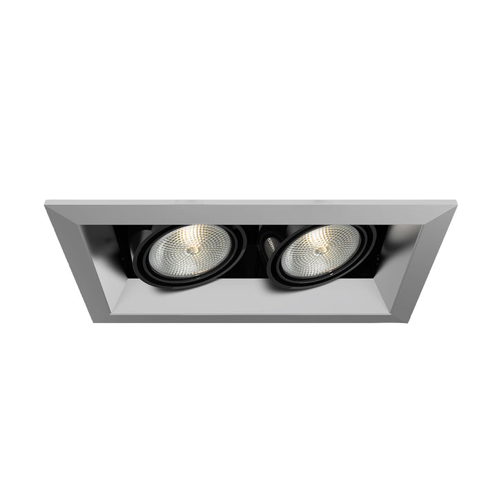 Eurofase Canada - TE162-0N - MULT,PAR20,TRM,2LT,50W,PT/BLK - PAR20MULTI-GEN - Platinum