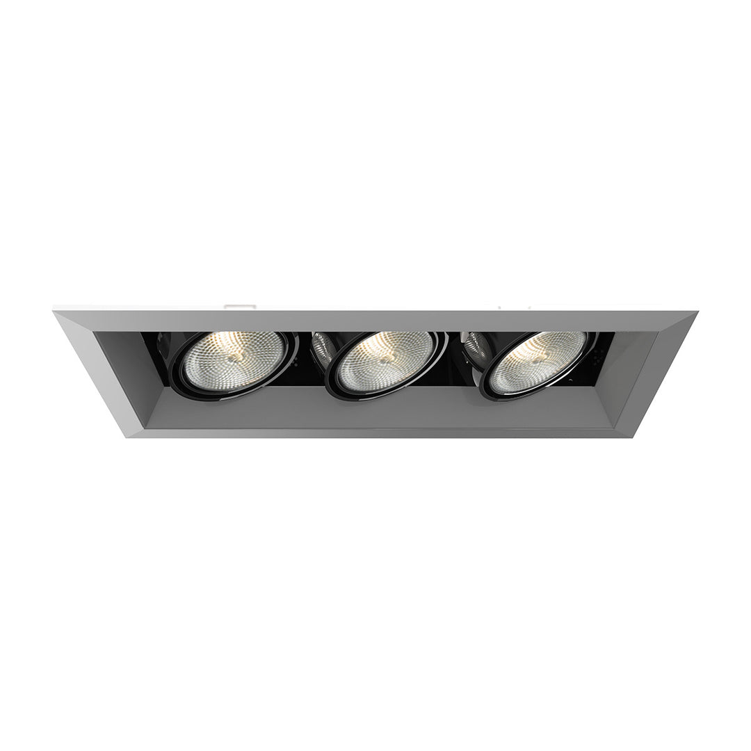 Eurofase Canada - TE163-0N - MULT,PAR20,TRM,3LT,50W,PT/BLK - PAR20MULTI-GEN - Platinum