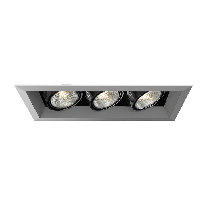 Eurofase Canada - TE163-0N - MULT,PAR20,TRM,3LT,50W,PT/BLK - PAR20MULTI-GEN - Platinum
