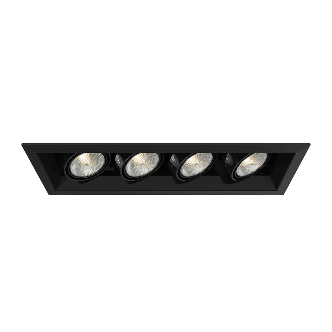 Eurofase Canada - TE164A-01 - MULT,PAR20,TRM,4LT,50W,BL/BLK - PAR20MULTI-GEN - Black