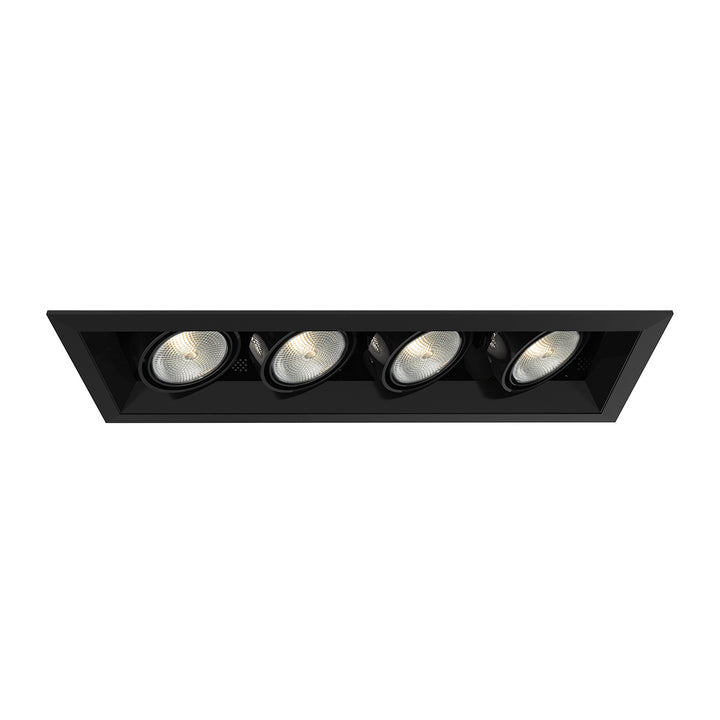 Eurofase Canada - TE164A-01 - MULT,PAR20,TRM,4LT,50W,BL/BLK - PAR20MULTI-GEN - Black