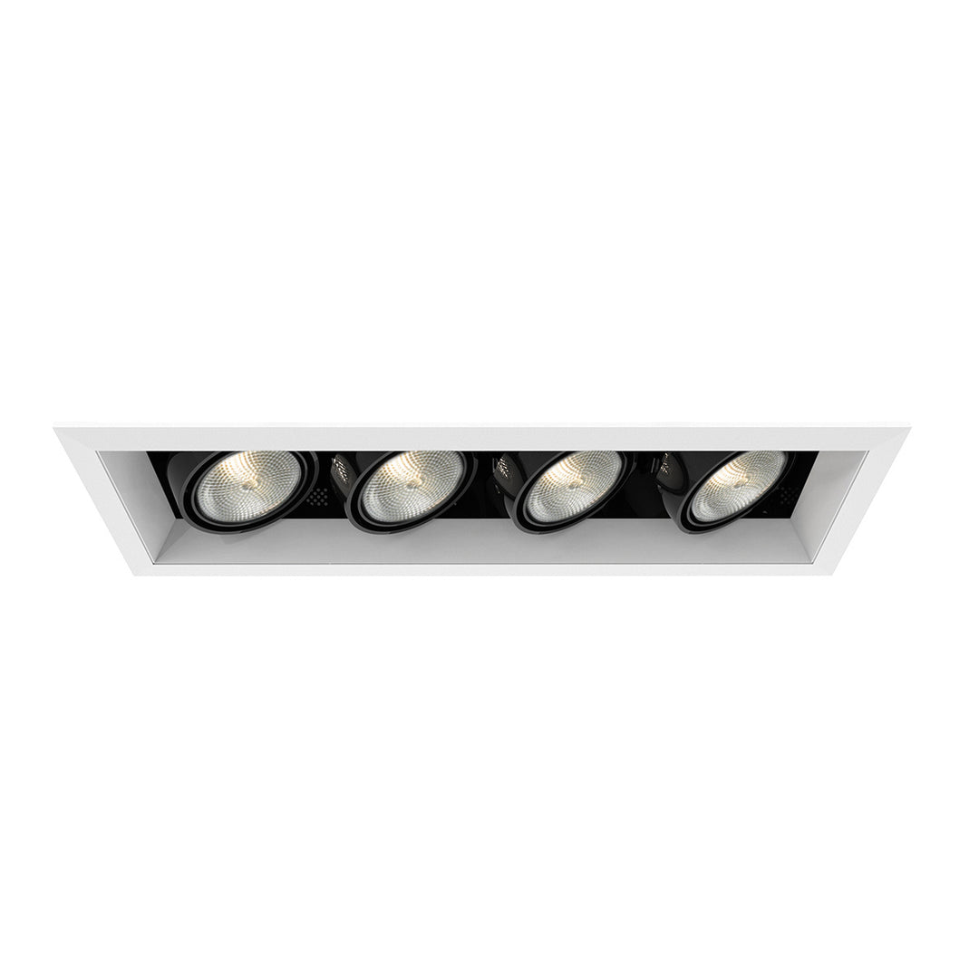 Eurofase Canada - TE164A-02 - MULT,PAR20,TRM,4LT,50W,WH/BLK - PAR20MULTI-GEN - White