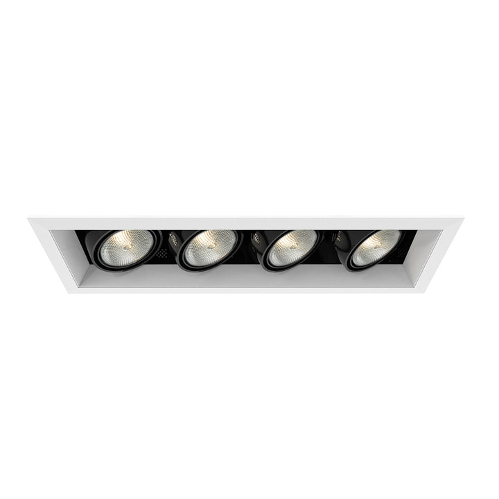 Eurofase Canada - TE164A-02 - MULT,PAR20,TRM,4LT,50W,WH/BLK - PAR20MULTI-GEN - White