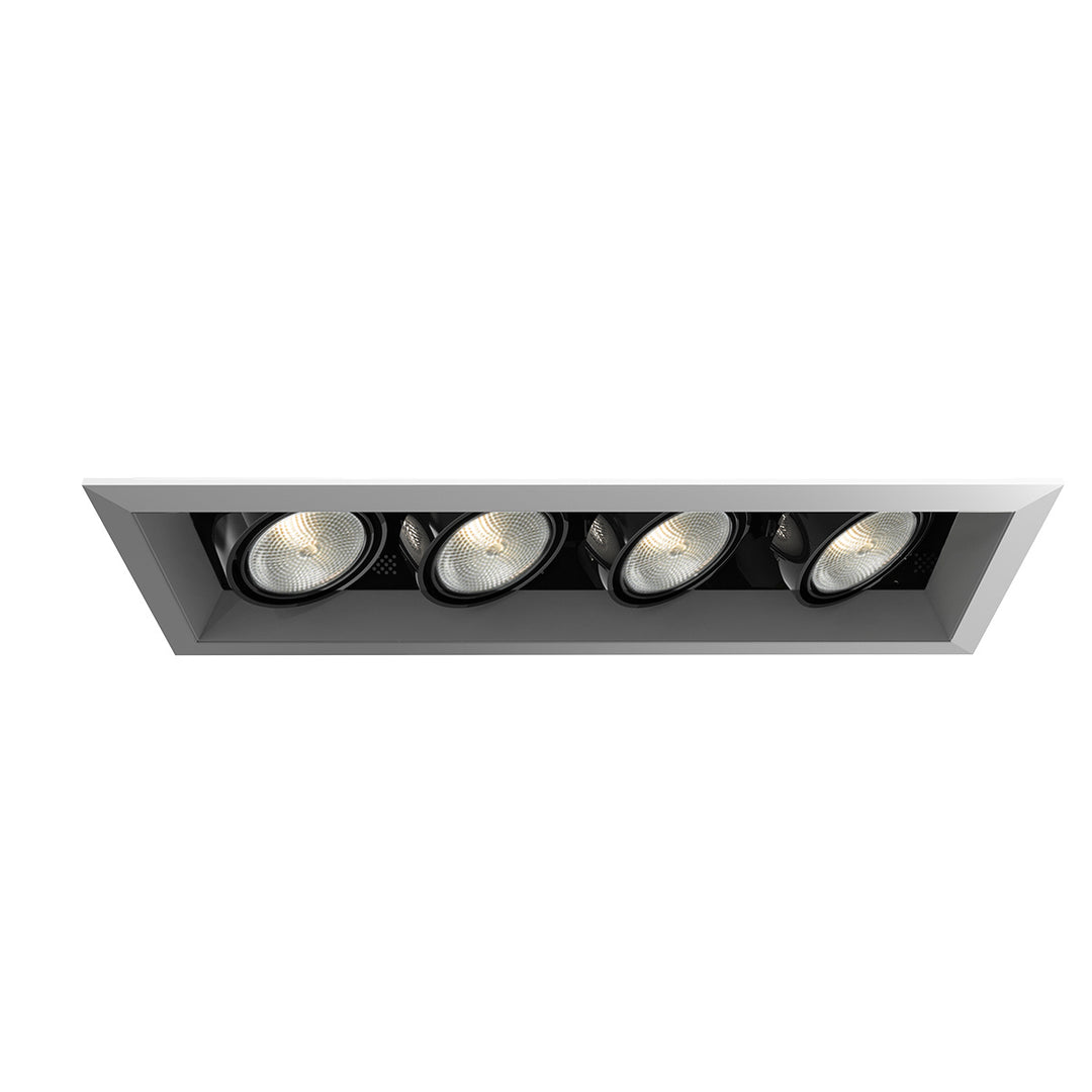 Eurofase Canada - TE164A-0N - MULT,PAR20,TRM,4LT,50W,PT/BLK - PAR20MULTI-GEN - Platinum