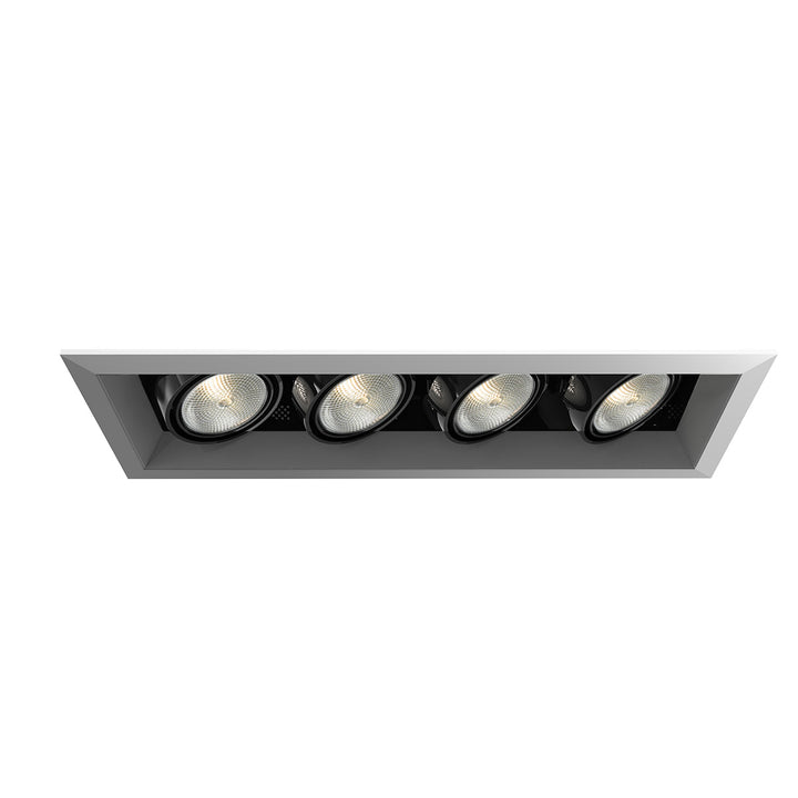 Eurofase Canada - TE164A-0N - MULT,PAR20,TRM,4LT,50W,PT/BLK - PAR20MULTI-GEN - Platinum