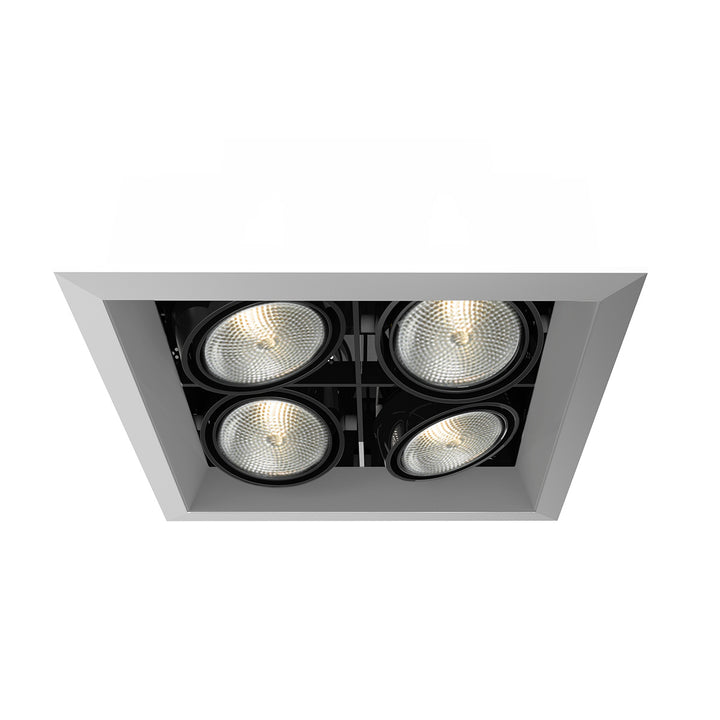 Eurofase Canada - TE164B-0N - MULT,PAR20,TRM,4LT,SQ,PT/BLK - PAR20MULTI-GEN - Platinum