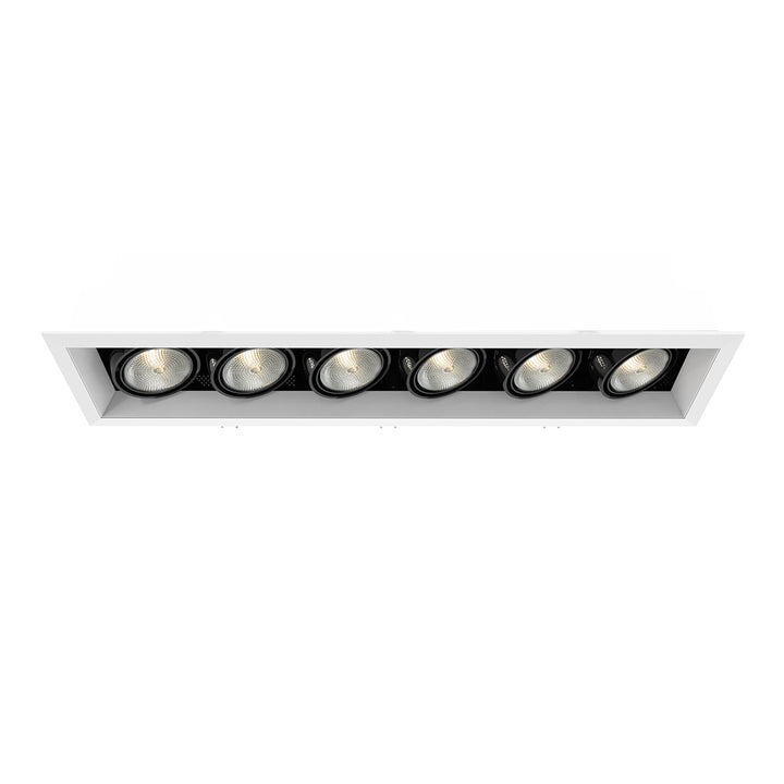 Eurofase Canada - TE166A-02 - MULT,PAR20,TRM,6LT,50W,WT/BLK - PAR20MULTI-GEN - White