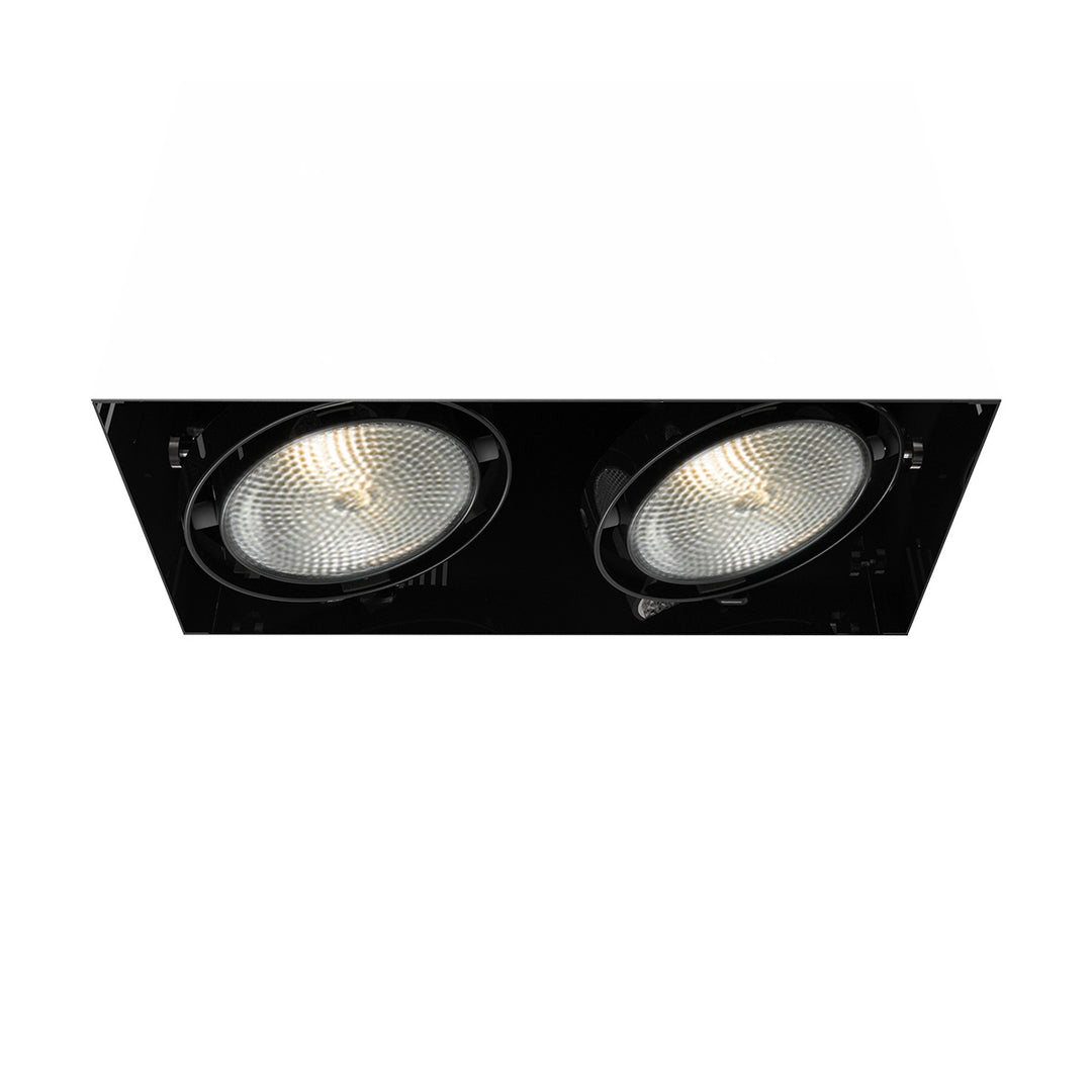 Eurofase Canada - TE222-01 - MULT,PAR30,TRIMLSS,2LT,75W,BLK - PAR30MULTI-GEN - Black