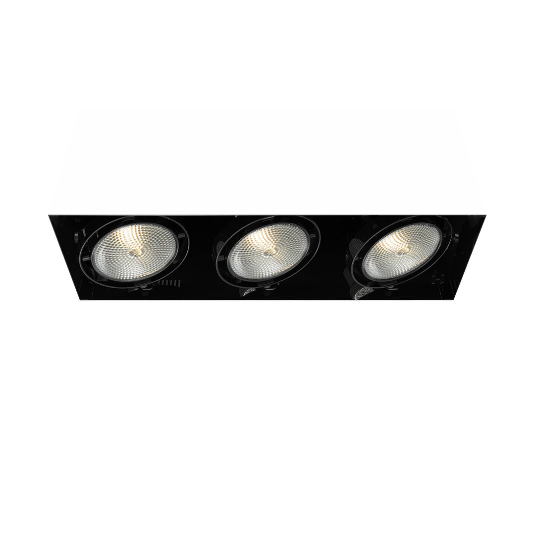 Eurofase Canada - TE223-01 - MULT,PAR30,TRIMLSS,3LT,75W,BLK - PAR30MULTI-GEN - Black