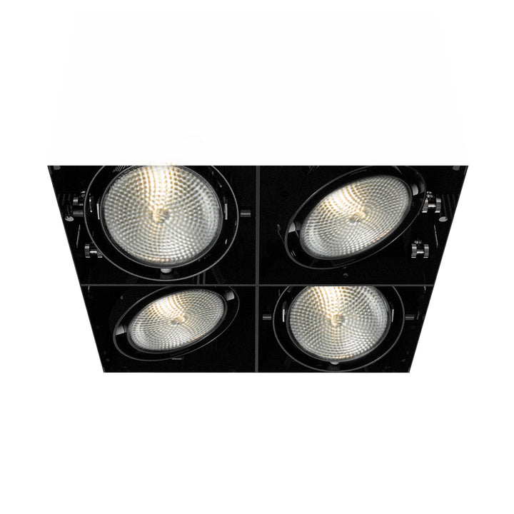 Eurofase Canada - TE224B-01 - MULT,PAR30,TRIMLSS,4LT,75W,BLK - PAR30MULTI-GEN - Black