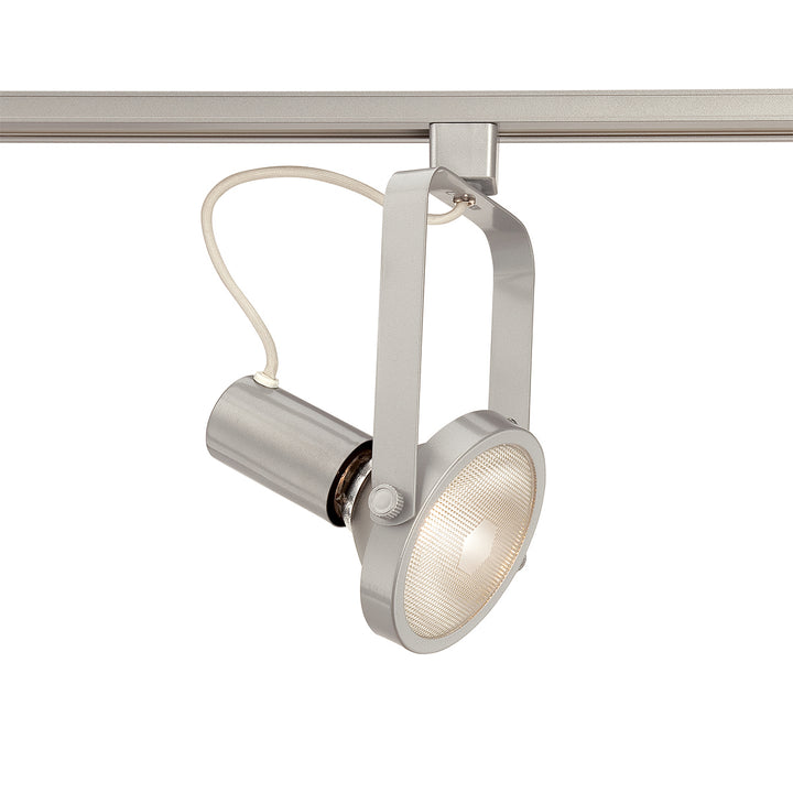 Eurofase Canada - TK-HGP38-S5 - TRACKHEAD,PAR38,150W,PLATINUM - GIMBAL 38 - Platinum