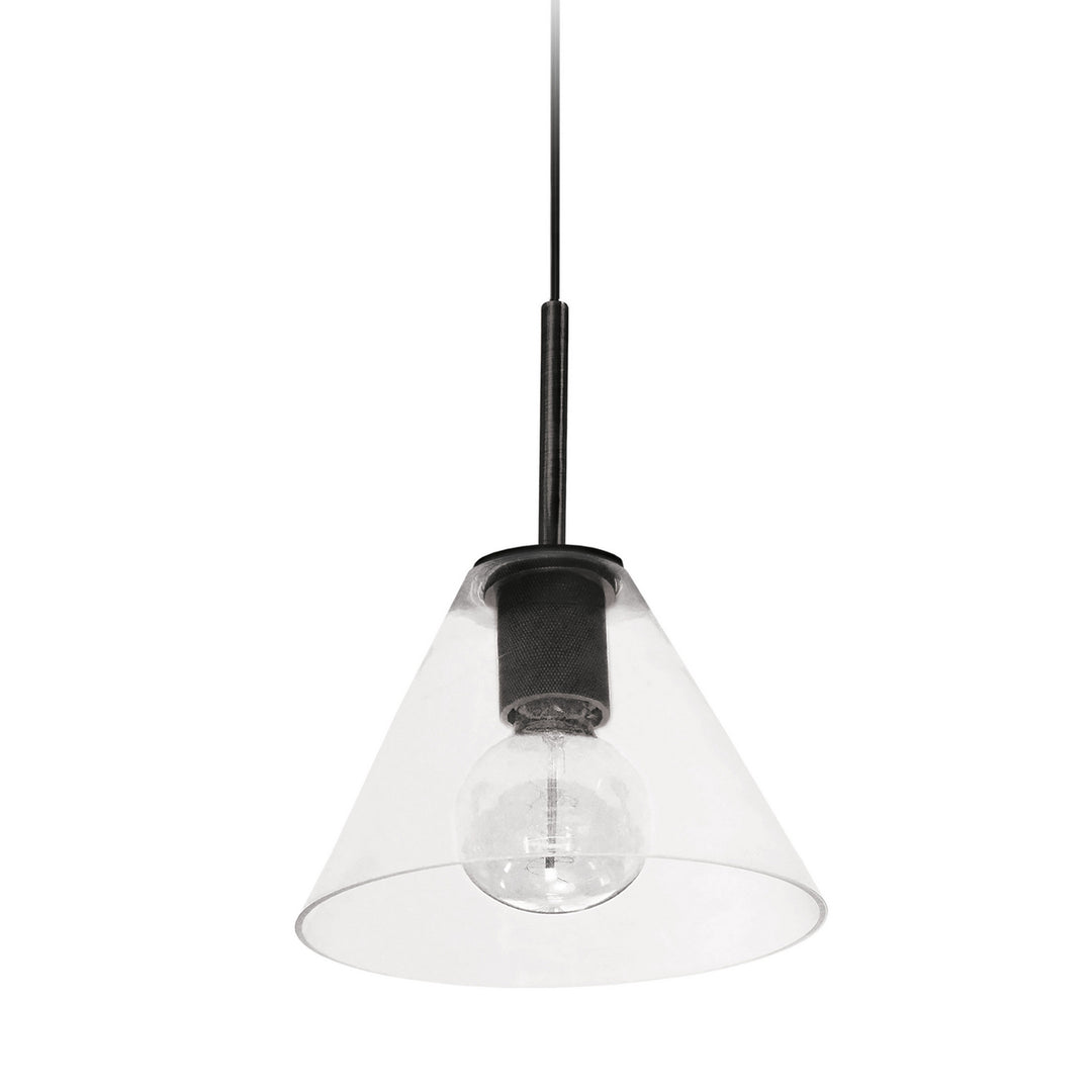 Roswell One Light Pendant in Black - available from The Lighting Shoppe, trusted by Canadian homeowners