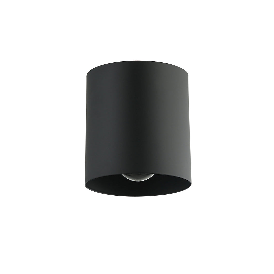 Theron One Light Flush Mount in Black - available from The Lighting Shoppe, trusted by Canadian homeowners