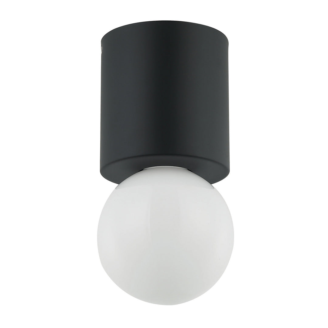 Theron One Light Flush Mount in Black - available from The Lighting Shoppe, trusted by Canadian homeowners