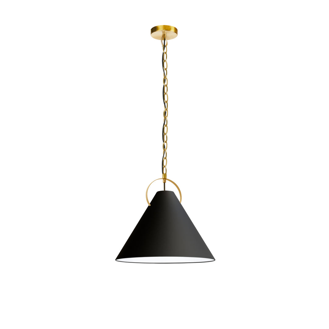 Princeton One Light Pendant in Black - available from The Lighting Shoppe, trusted by Canadian homeowners
