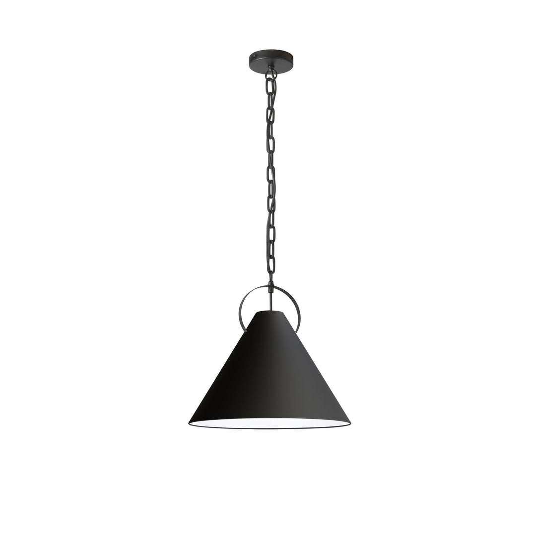 Princeton One Light Pendant in Black - available from The Lighting Shoppe, trusted by Canadian homeowners