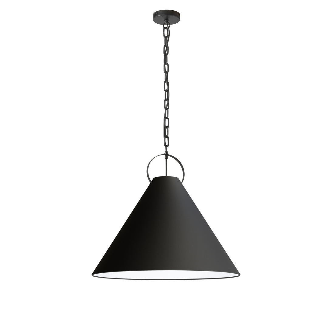 Princeton One Light Pendant in Black - available from The Lighting Shoppe, trusted by Canadian homeowners