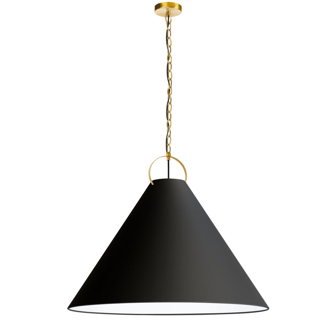 Princeton One Light Pendant in Black - available from The Lighting Shoppe, trusted by Canadian homeowners