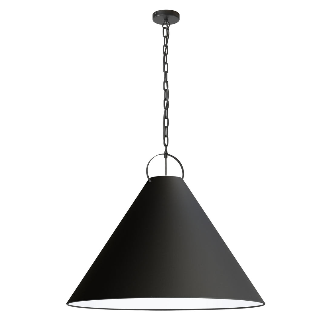 Princeton One Light Pendant in Black - available from The Lighting Shoppe, trusted by Canadian homeowners