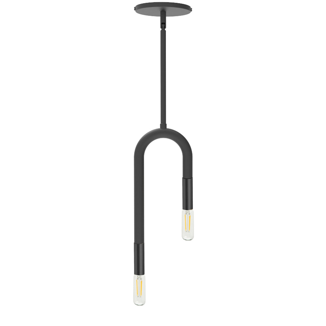 Wand Two Light Pendant in Black - available from The Lighting Shoppe, trusted by Canadian homeowners