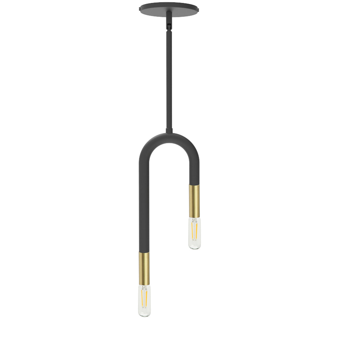 Wand Two Light Pendant in Black - available from The Lighting Shoppe, trusted by Canadian homeowners
