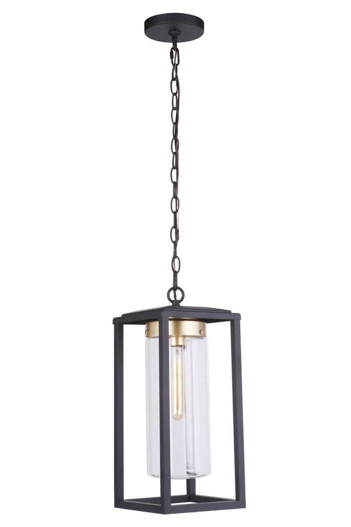 Neo One Light Outdoor Pendant in Midnight / Satin Brass - available from The Lighting Shoppe, trusted by Canadian homeowners