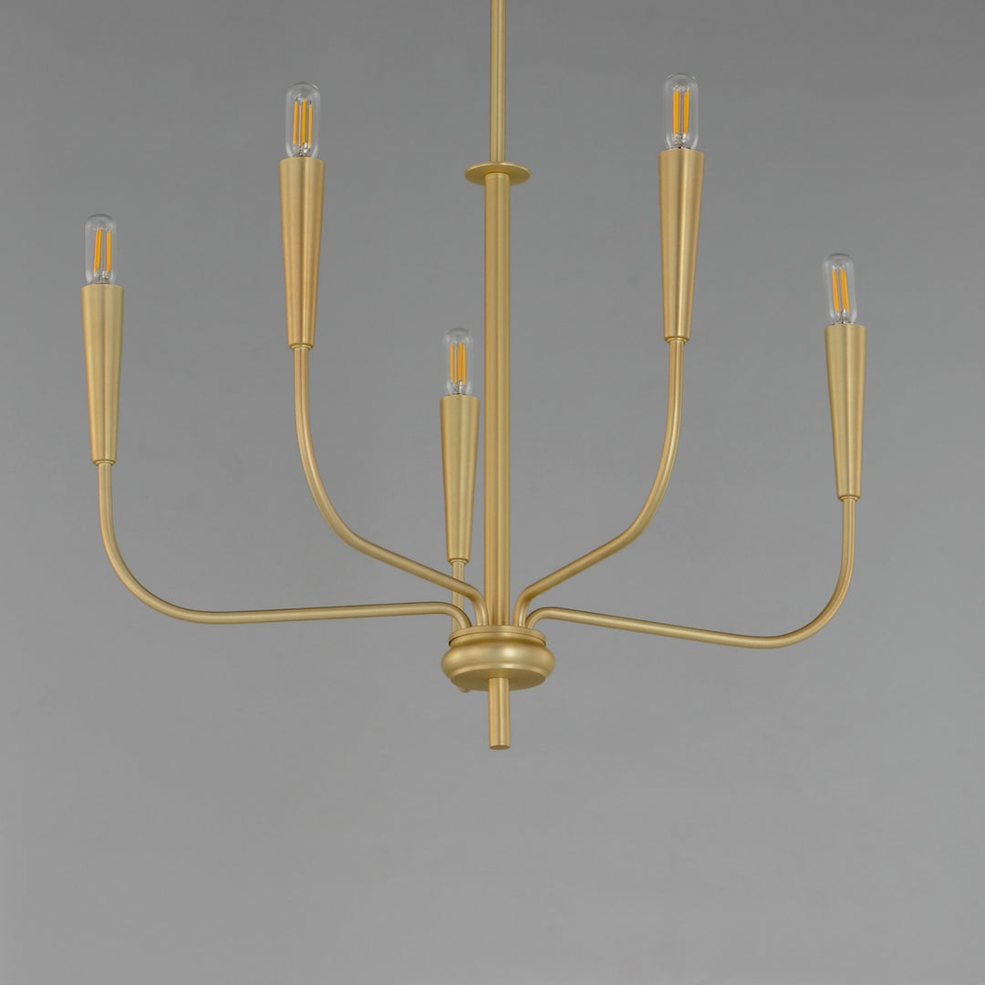 Maxim - 24815SBR - Five Light Chandelier - Vela - Satin Brass