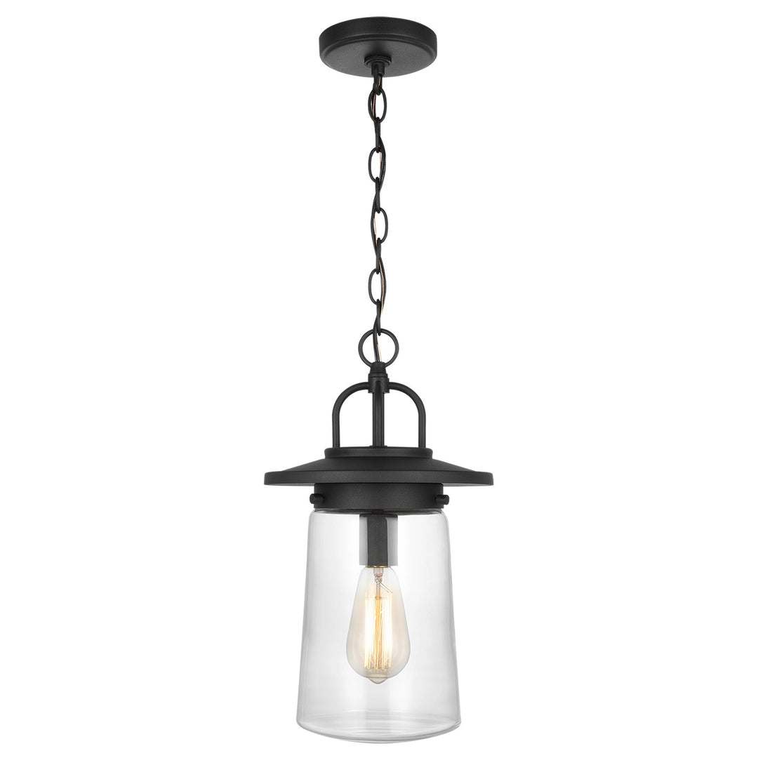 Tybee One Light Outdoor Pendant in Black - available from The Lighting Shoppe, trusted by Canadian homeowners