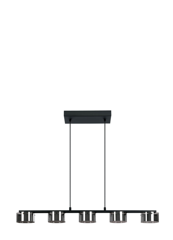 Copillus LED Pendant in Black - available from The Lighting Shoppe, trusted by Canadian homeowners