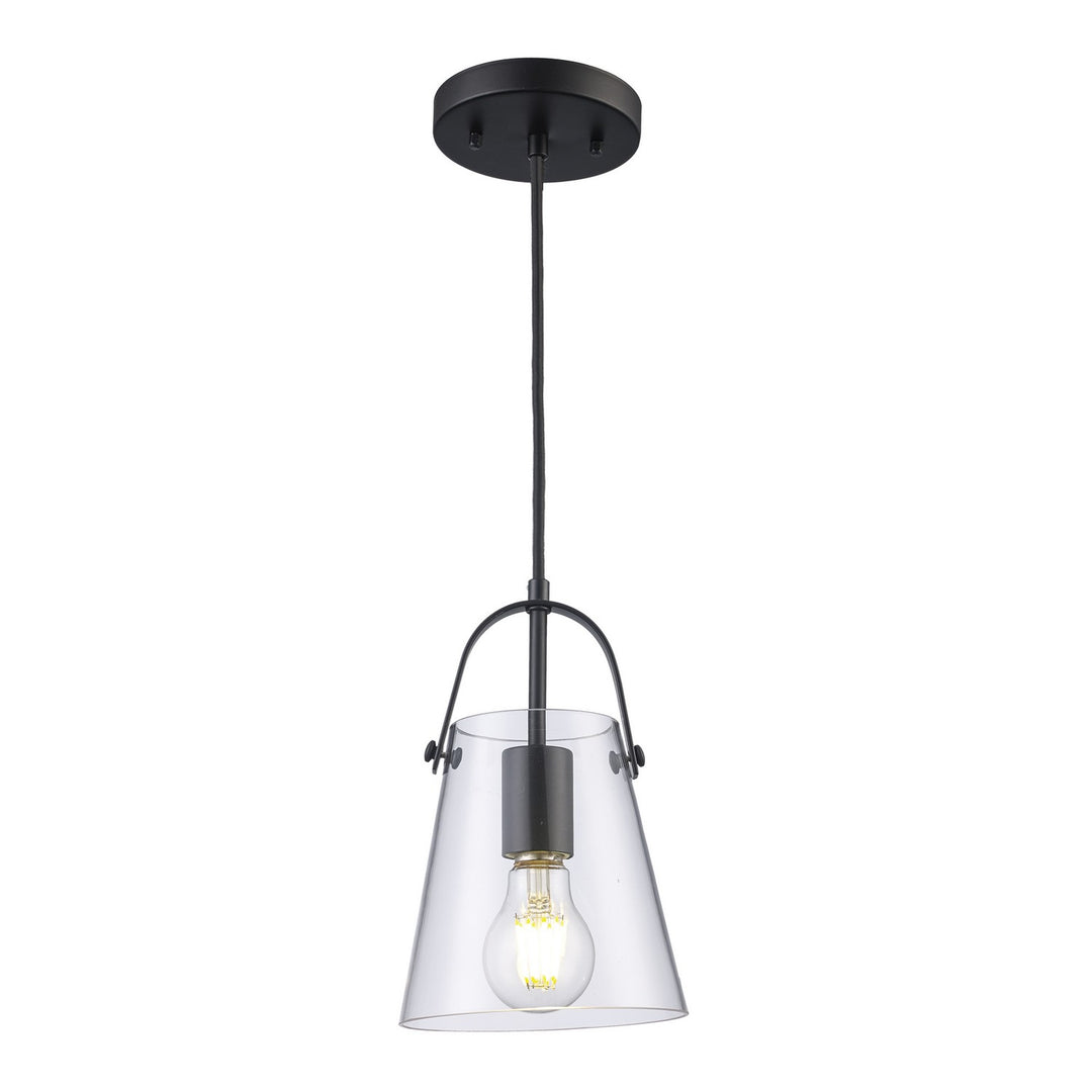 Curry One Light Pendant in Black - available from The Lighting Shoppe, trusted by Canadian homeowners