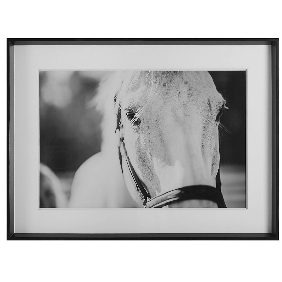 Eyes On The Prize Framed Print in Satin Black Chamfered Edge - available from The Lighting Shoppe, trusted by Canadian homeowners