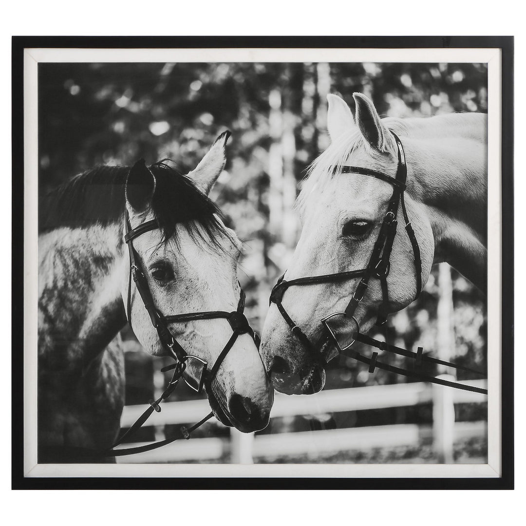Apple Of My Eye Framed Print in Satin Black - available from The Lighting Shoppe, trusted by Canadian homeowners
