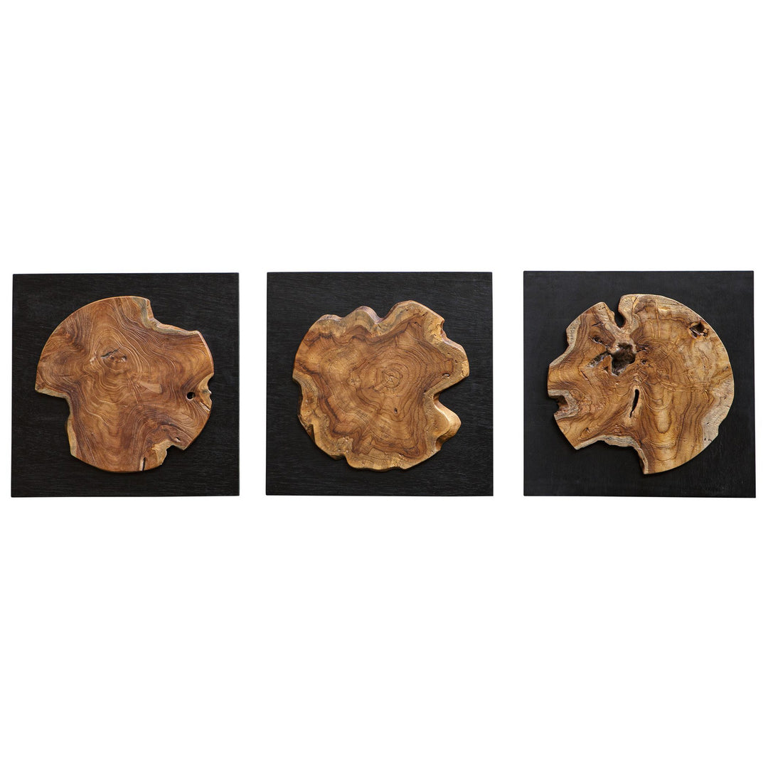 Kolini Wall Decor, S/3 in Satin Black - available from The Lighting Shoppe, trusted by Canadian homeowners