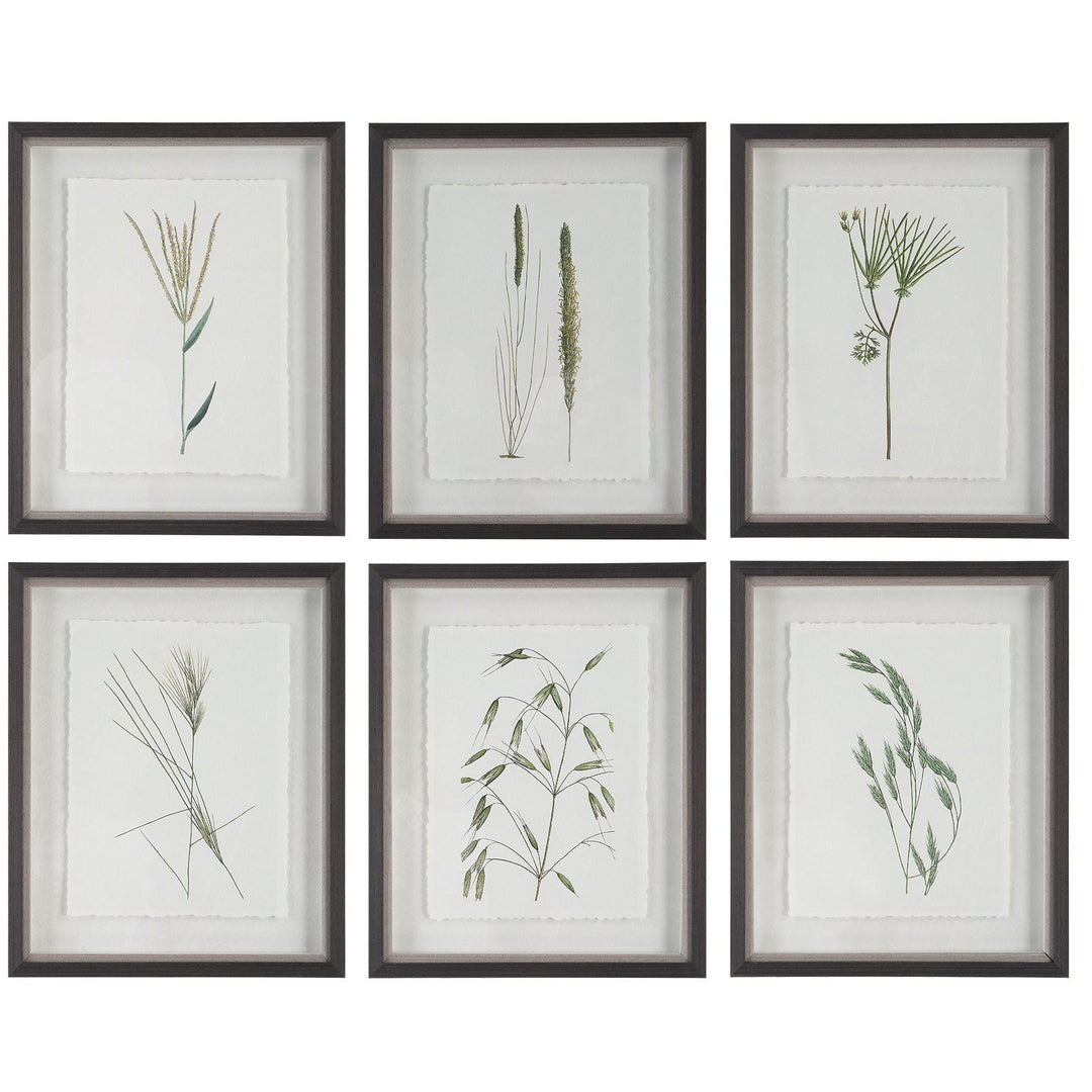 Forest Finds Framed Prints, S/6 in Dark Espresso - available from The Lighting Shoppe, trusted by Canadian homeowners