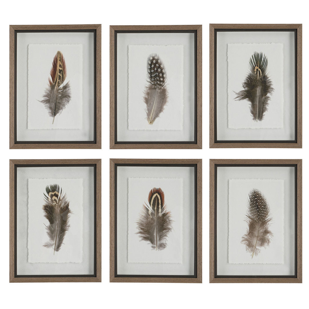 Birds Of A Feather Framed Prints, S/6 in Natural Wood Tone - available from The Lighting Shoppe, trusted by Canadian homeowners