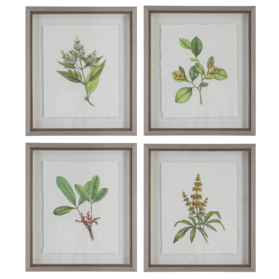 Wildflower Study Framed Prints, S/4 in Light Gray - available from The Lighting Shoppe, trusted by Canadian homeowners