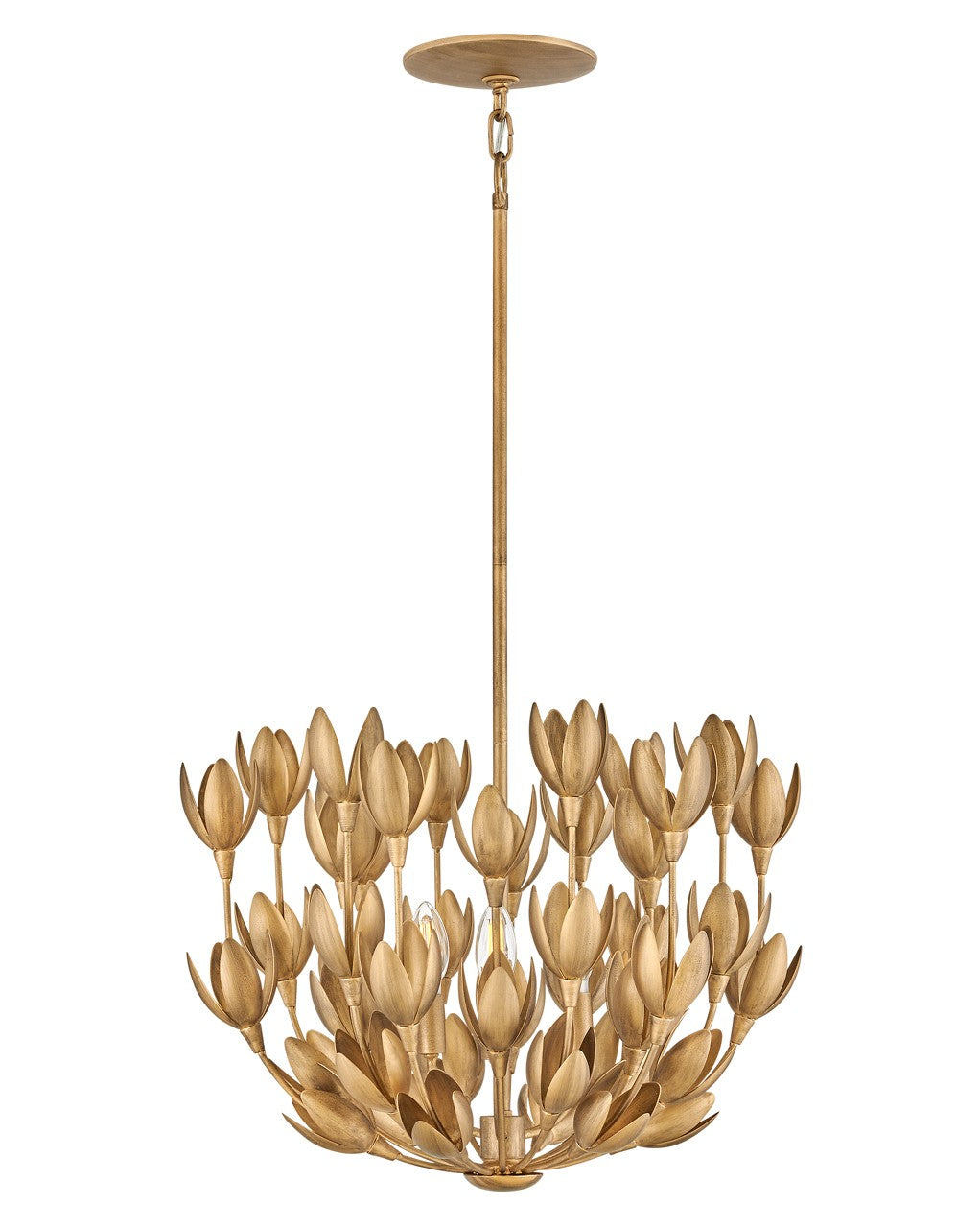 Hinkley Canada - 30011BNG - LED Convertible Semi-Flush Mount - Flora - Burnished Gold