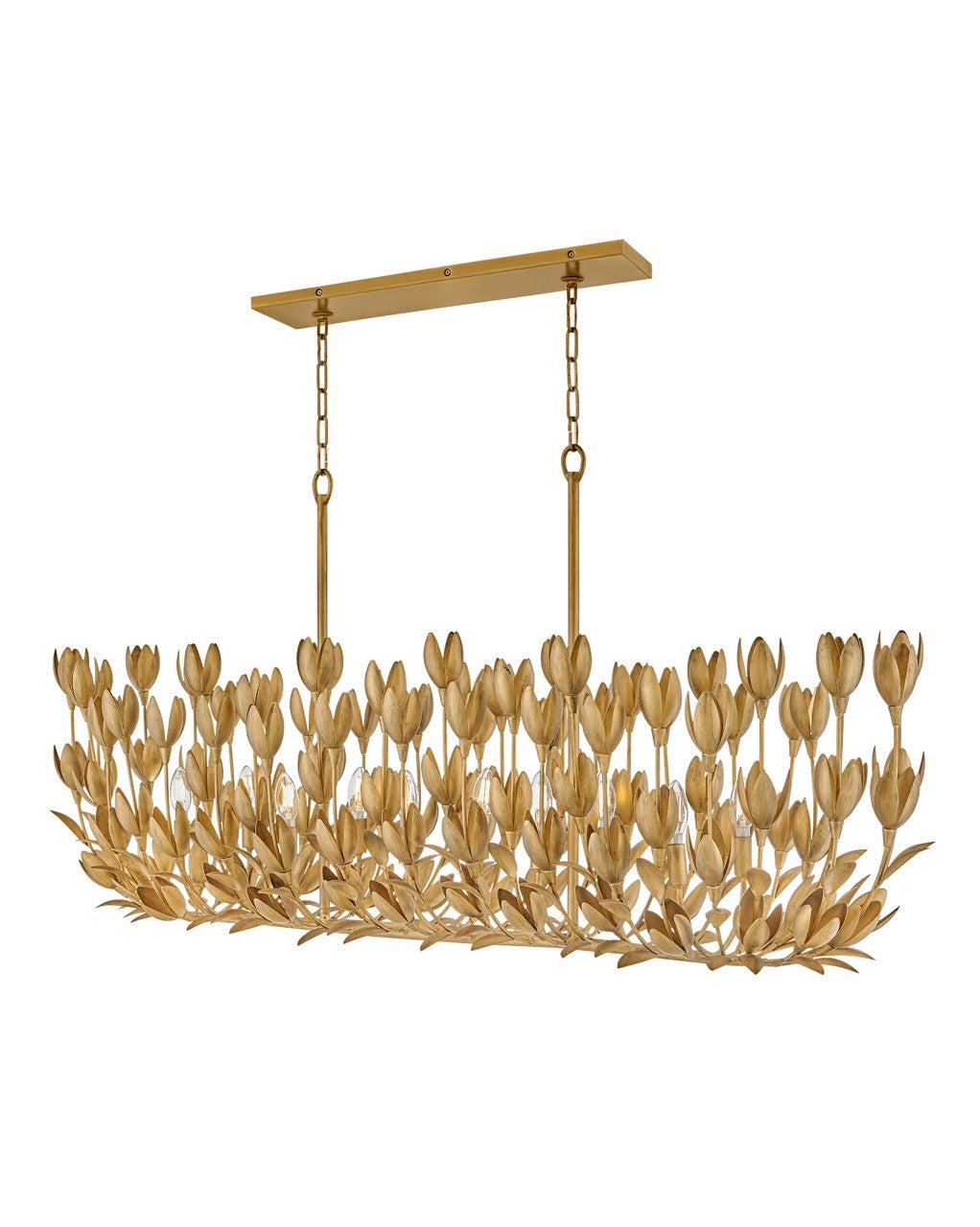 Hinkley Canada - 30015BNG - LED Chandelier - Flora - Burnished Gold
