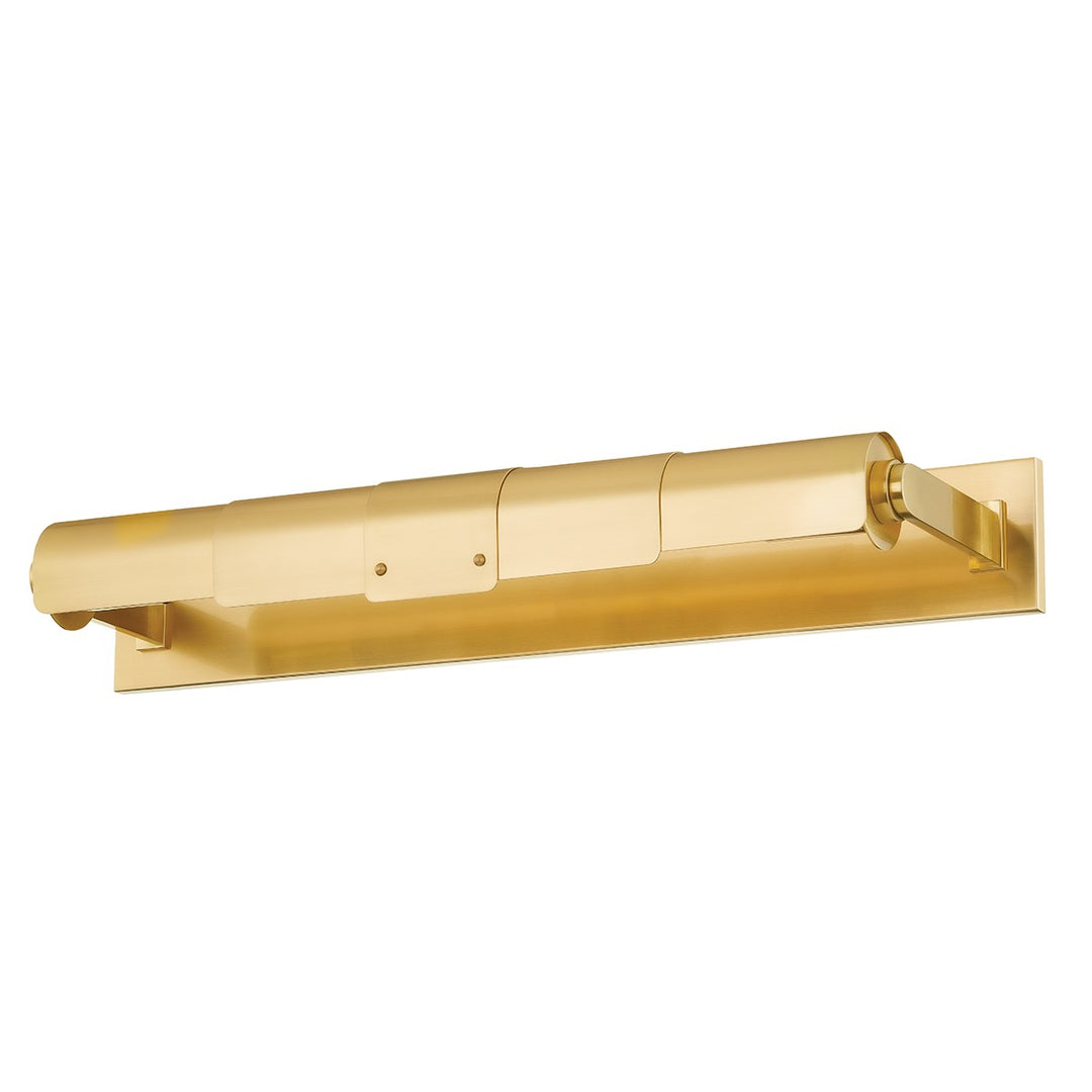 Oneonta Two Light Picture Light in Aged Brass - available from The Lighting Shoppe, trusted by Canadian homeowners