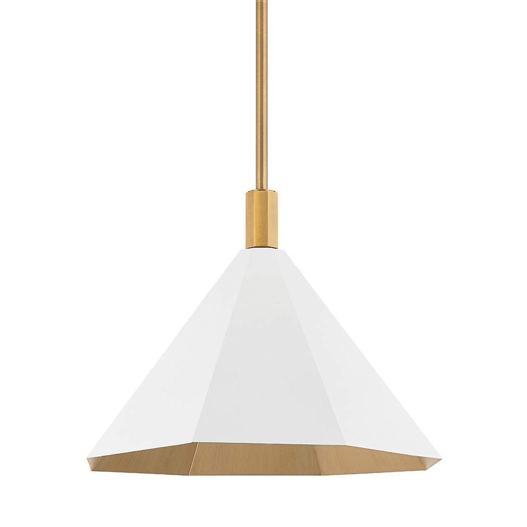 Troy Lighting Canada - F8322-PBR/SWH - One Light Pendant - Huntley - Patina Brass