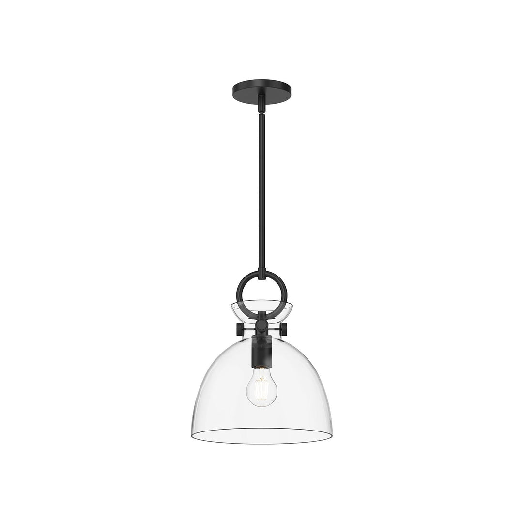 Waldo One Light Pendant in Matte Black/Clear Glass Alora Canada
