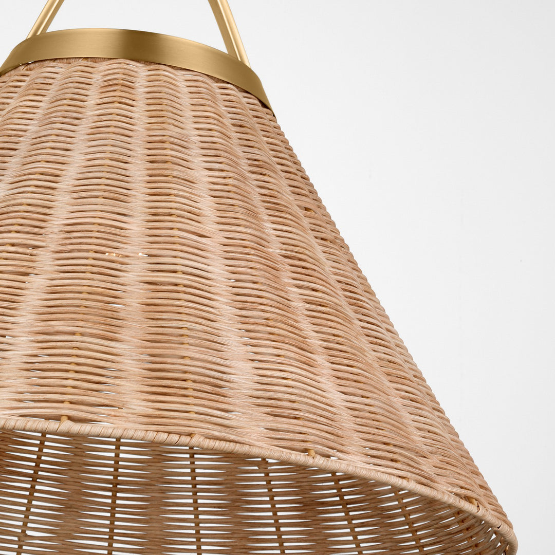 Visual Comfort Studio Canada - CP1431BBS - One Light Pendant - Whitby - Burnished Brass