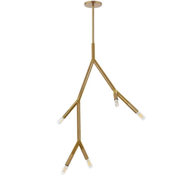 Morgan Five Light Pendant in Aged Brass - available from The Lighting Shoppe, trusted by Canadian homeowners