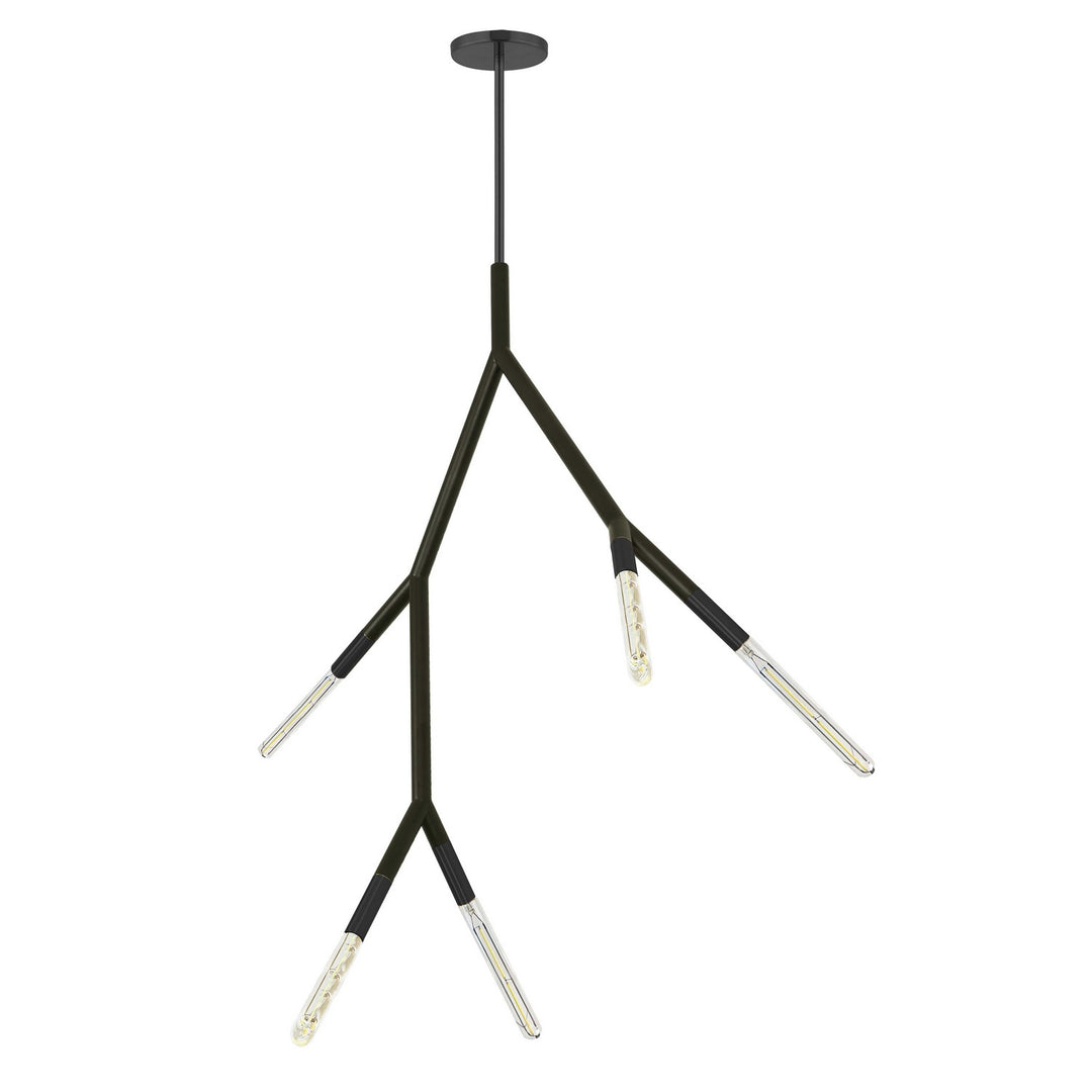 Dainolite Canada - MOR-125P-MB - Five Light Pendant - Morgan - Matte Black