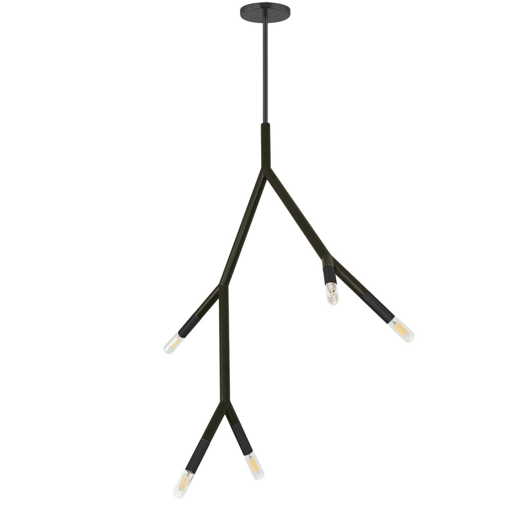Morgan Five Light Pendant in Matte Black - available from The Lighting Shoppe, trusted by Canadian homeowners